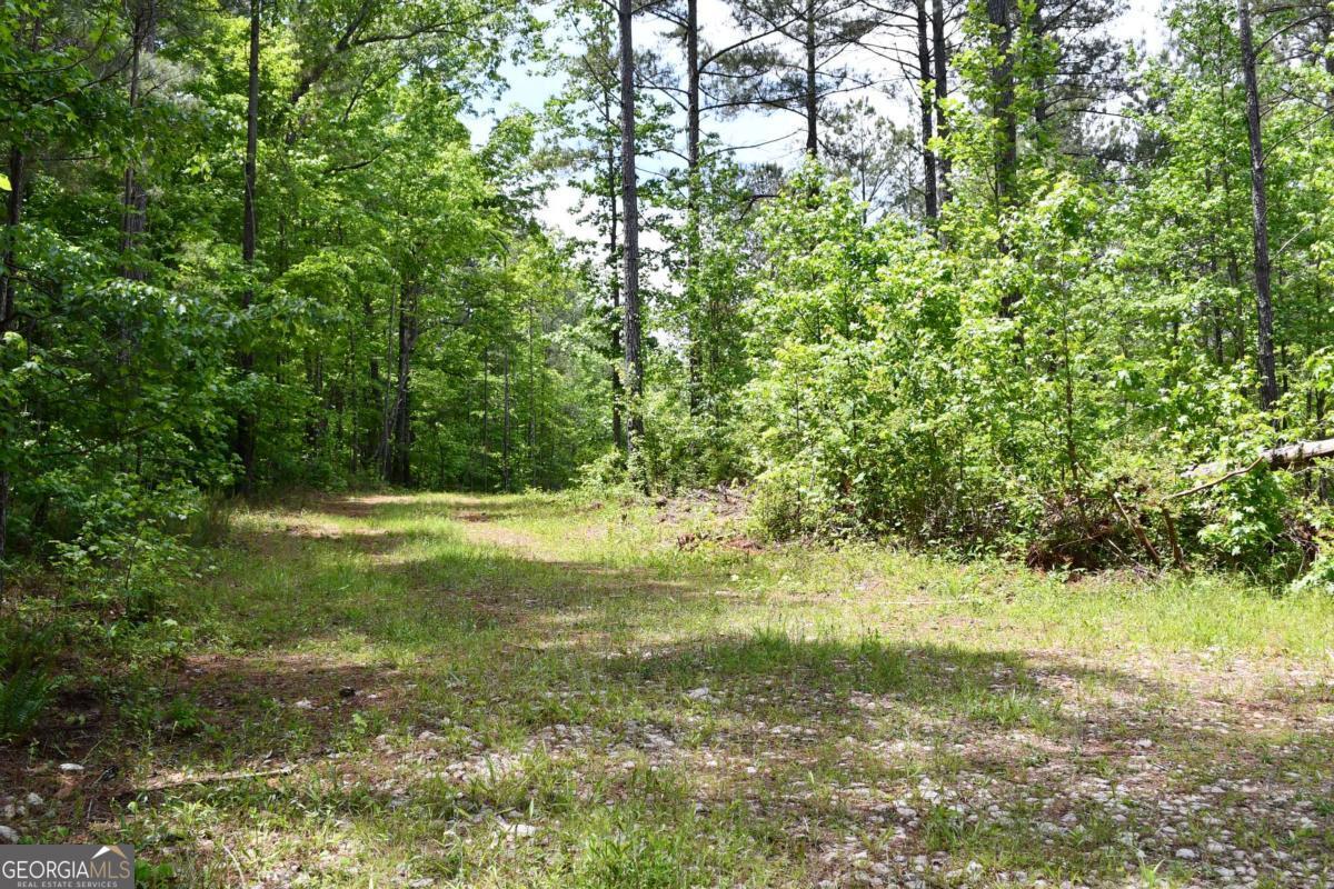 00001 Wilson Road Property Photo 46