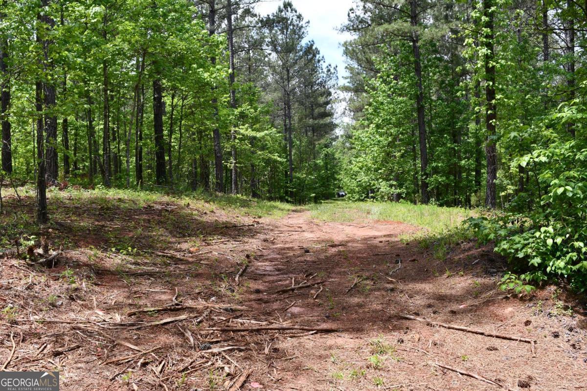 00001 Wilson Road Property Photo 47