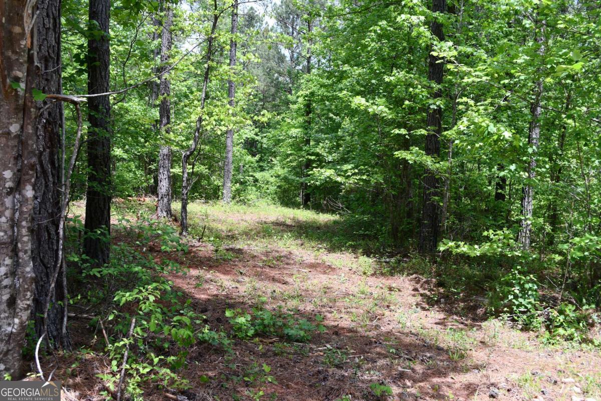 00001 Wilson Road Property Photo 49