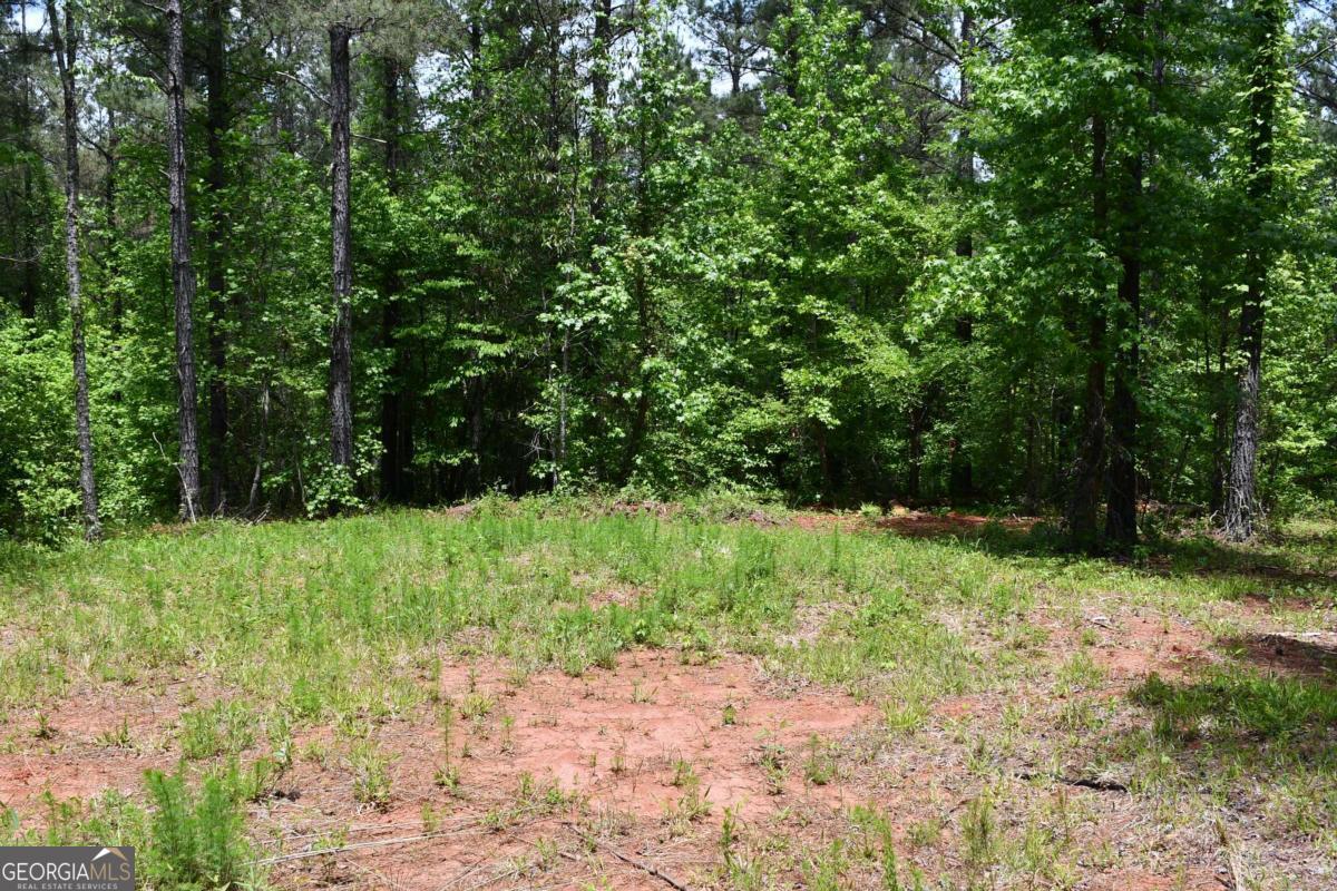 00001 Wilson Road Property Photo 50