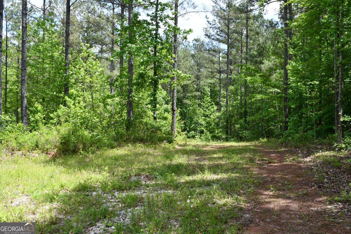 00001 Wilson Road Property Photo 53