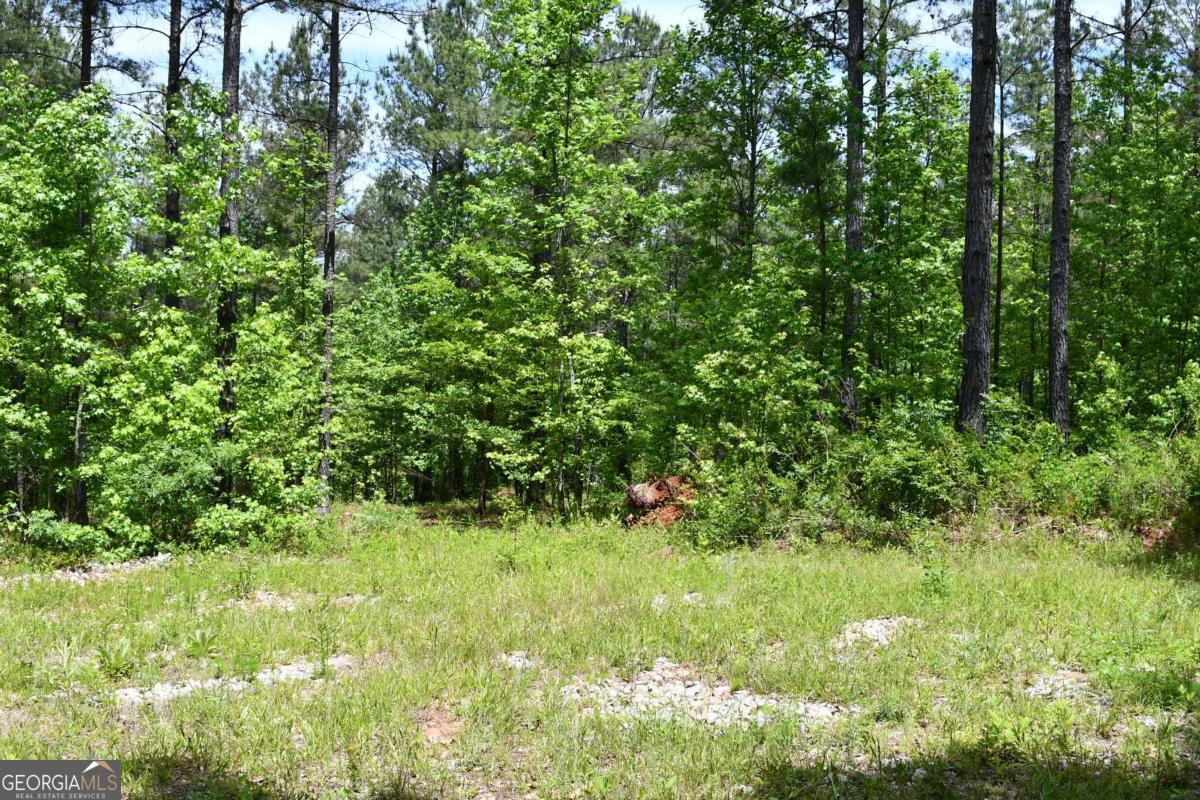 00001 Wilson Road Property Photo 54