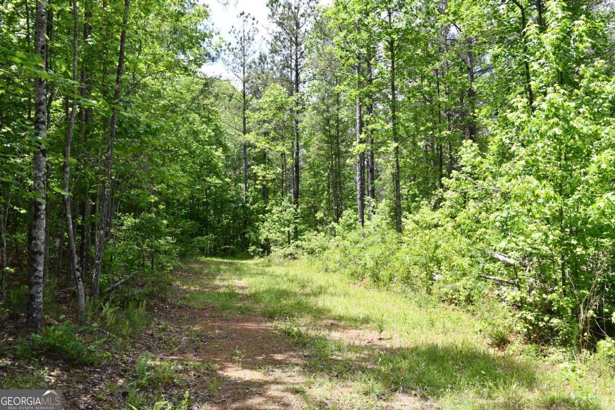 00001 Wilson Road Property Photo 55