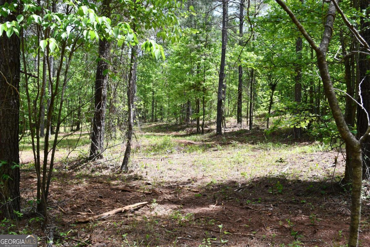 00001 Wilson Road Property Photo 56