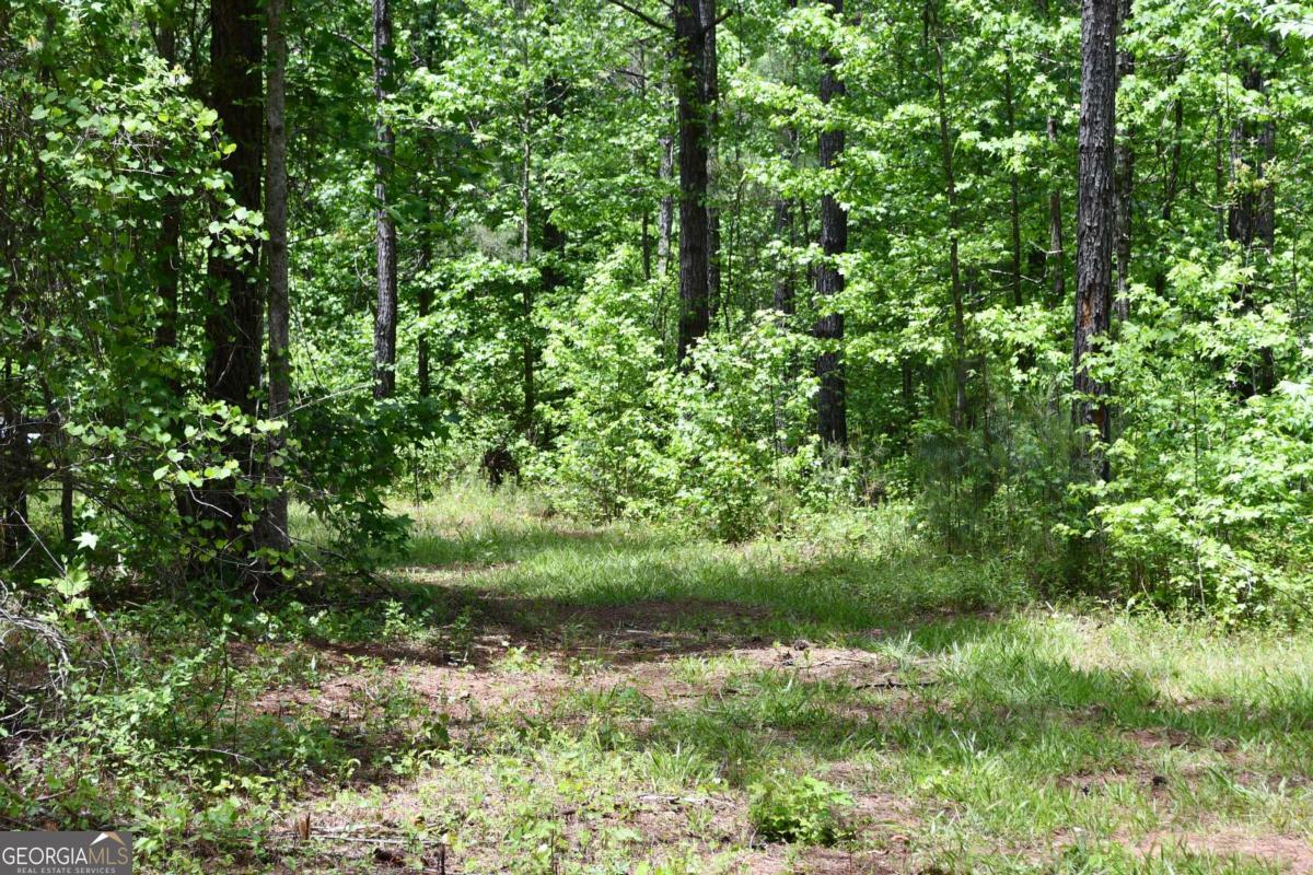 00001 Wilson Road Property Photo 58