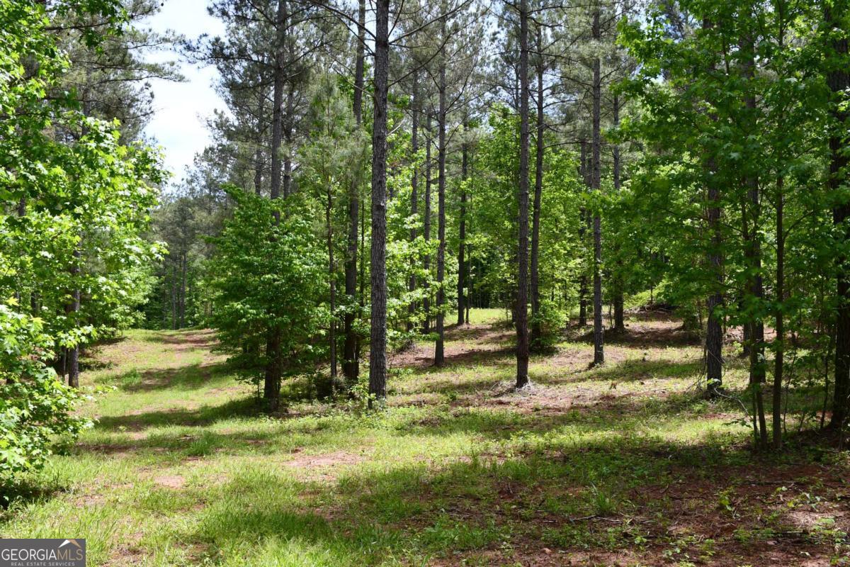 00001 Wilson Road Property Photo 59
