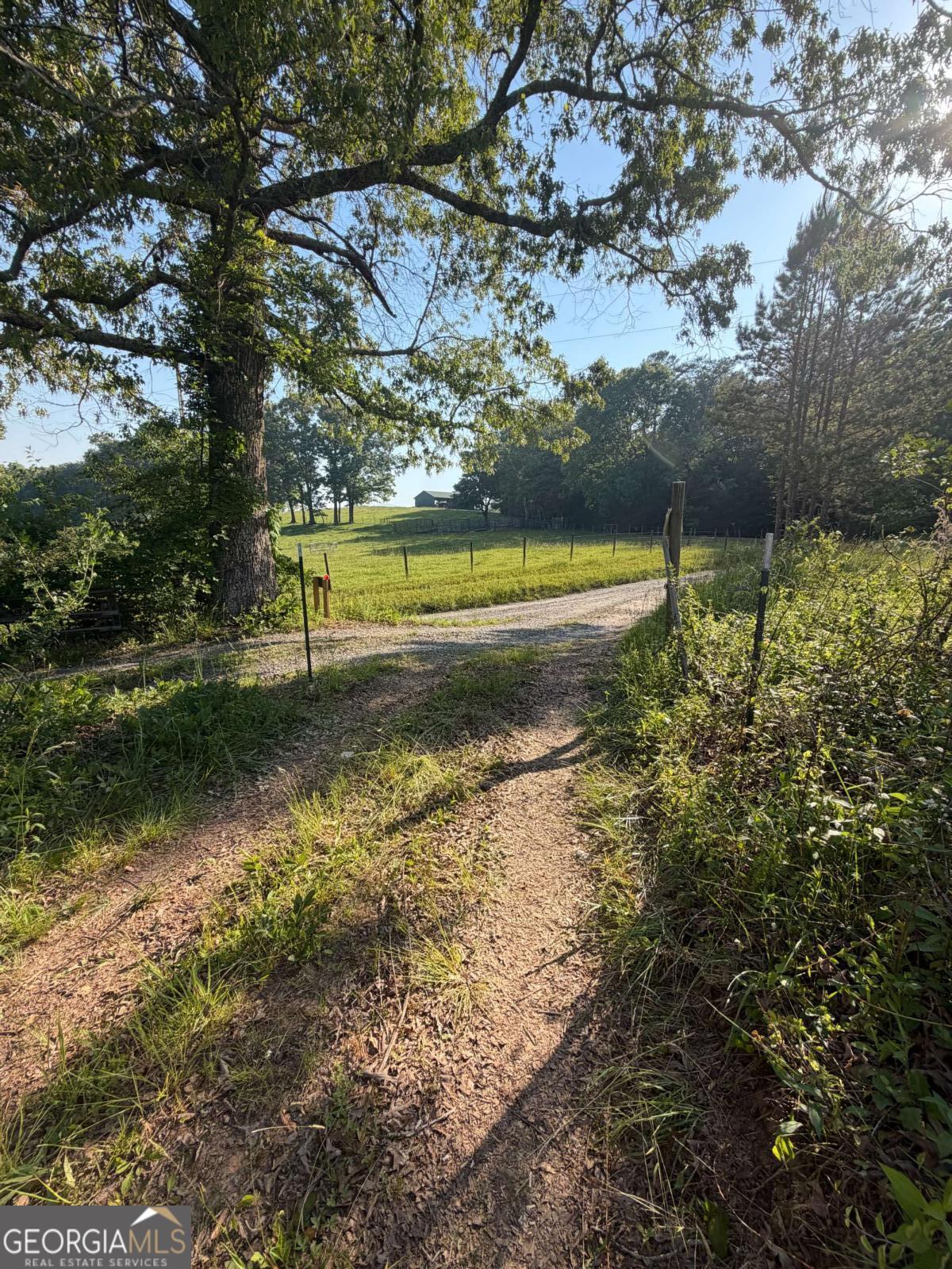 0 Mountain Road Property Photo 6