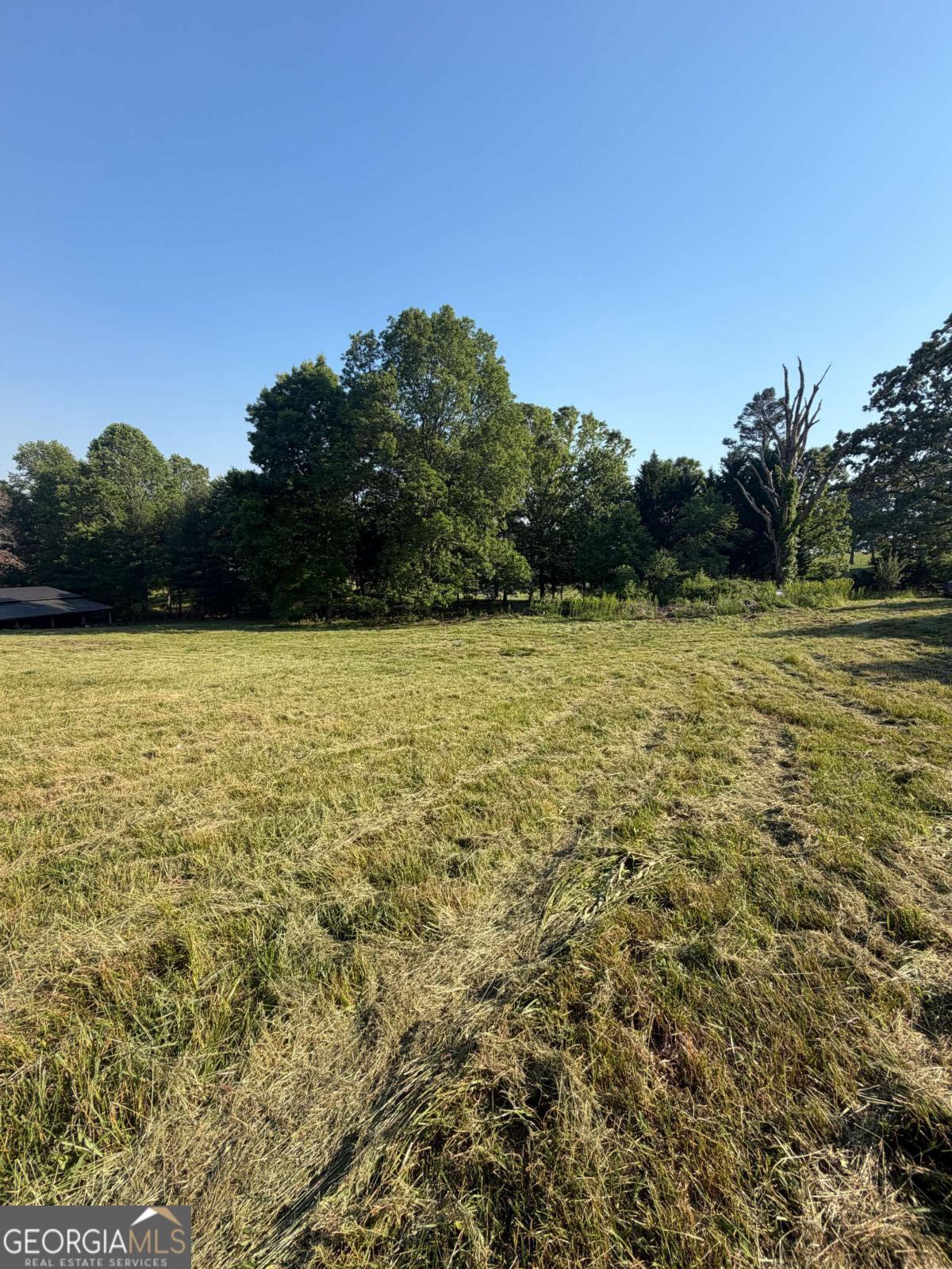0 Mountain Road Property Photo 9