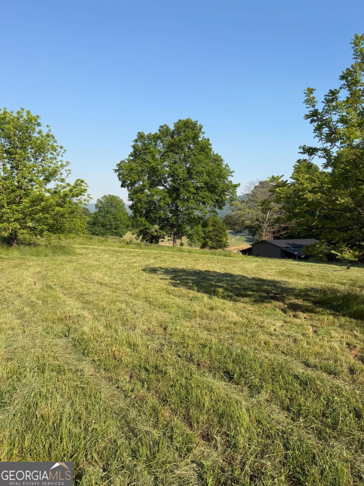 0 Mountain Road Property Photo 11