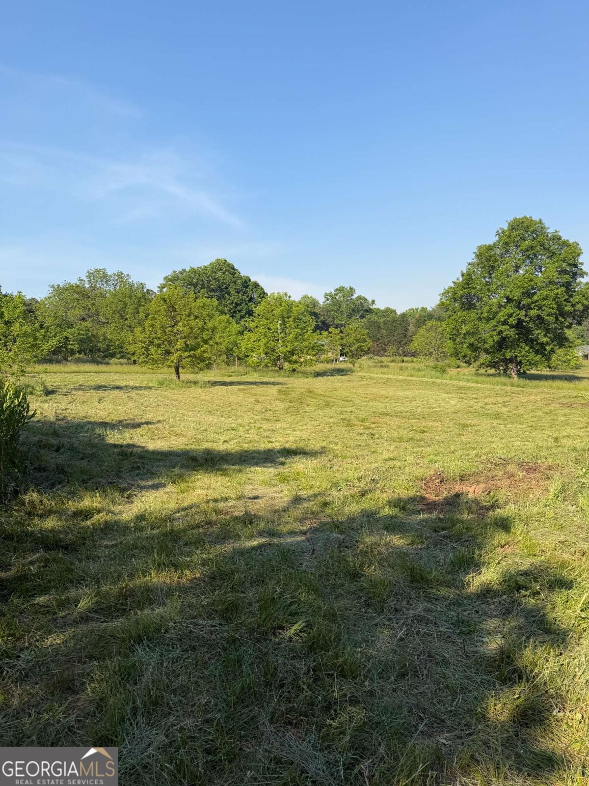 0 Mountain Road Property Photo 13