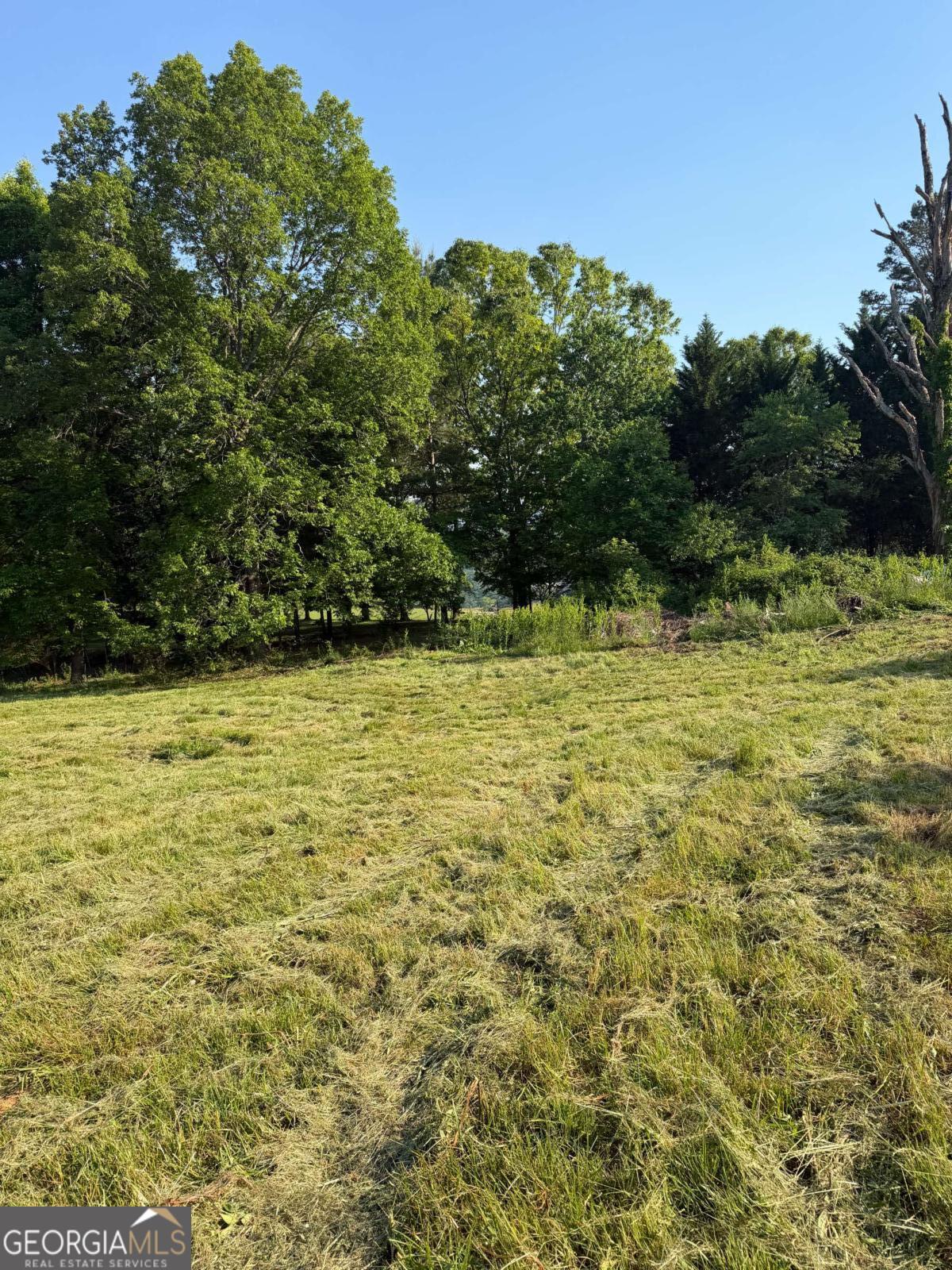 0 Mountain Road Property Photo 16