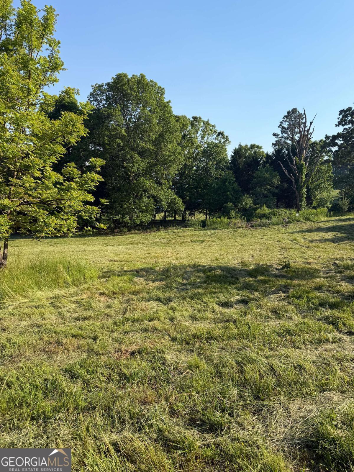 0 Mountain Road Property Photo 19