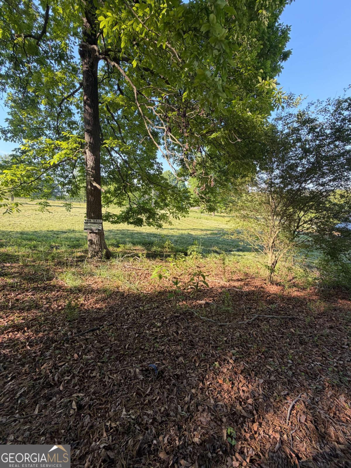 0 Mountain Road Property Photo 21