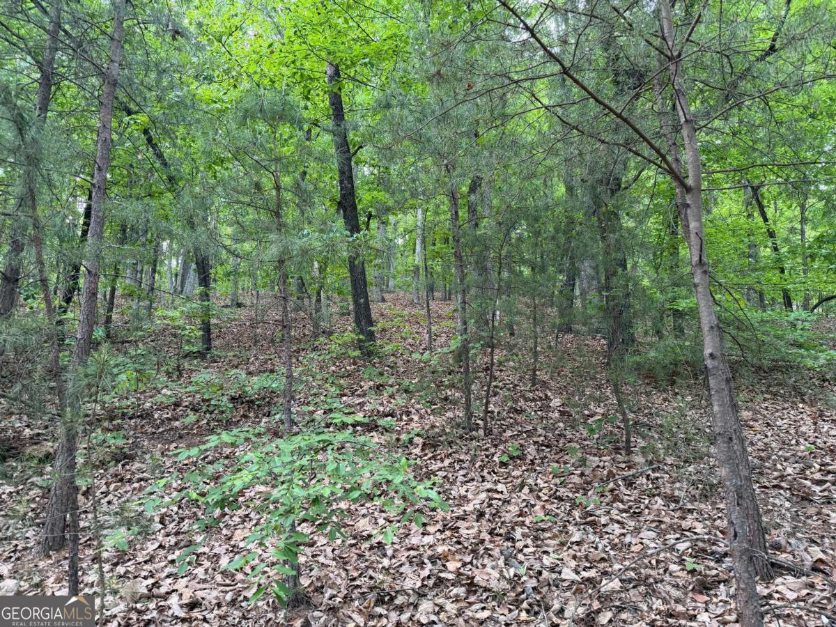 766 Fenwood Trail Property Photo 13