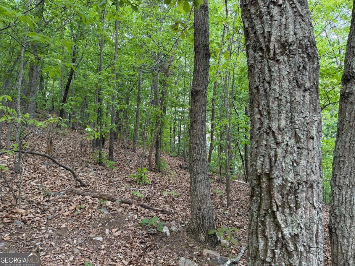 766 Fenwood Trail Property Photo 15