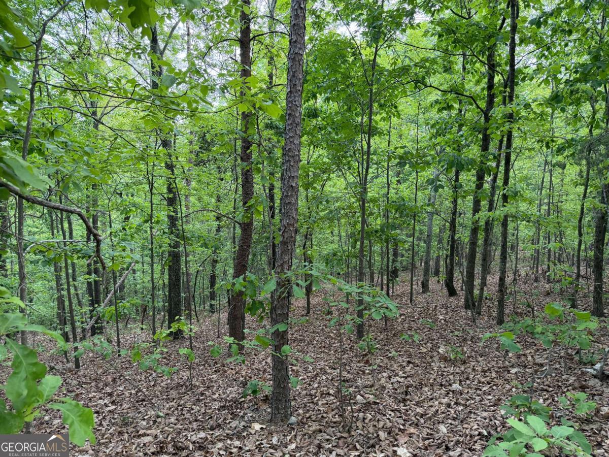766 Fenwood Trail Property Photo 16