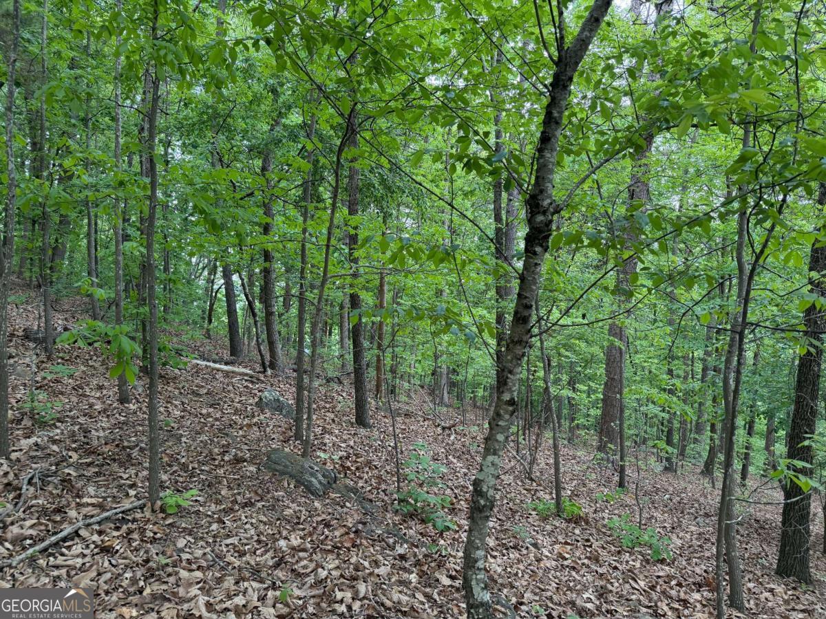 766 Fenwood Trail Property Photo 17