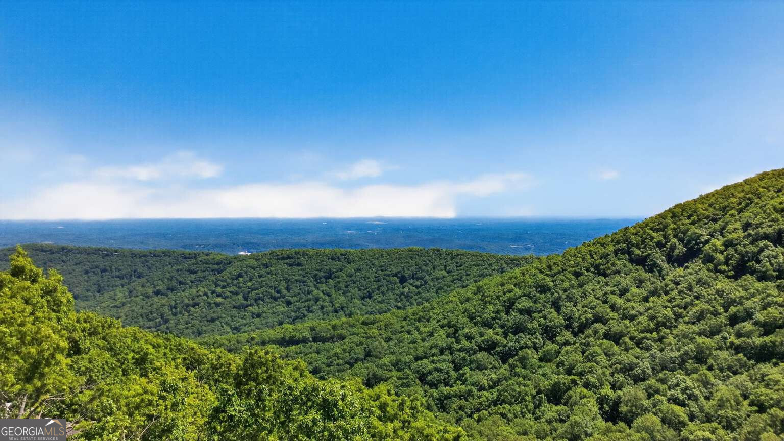 1091 Deer Run Ridge Property Photo 2