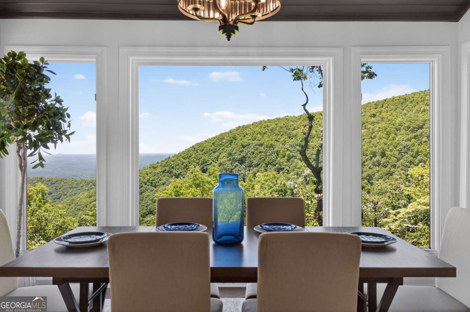 1091 Deer Run Ridge Property Photo 10