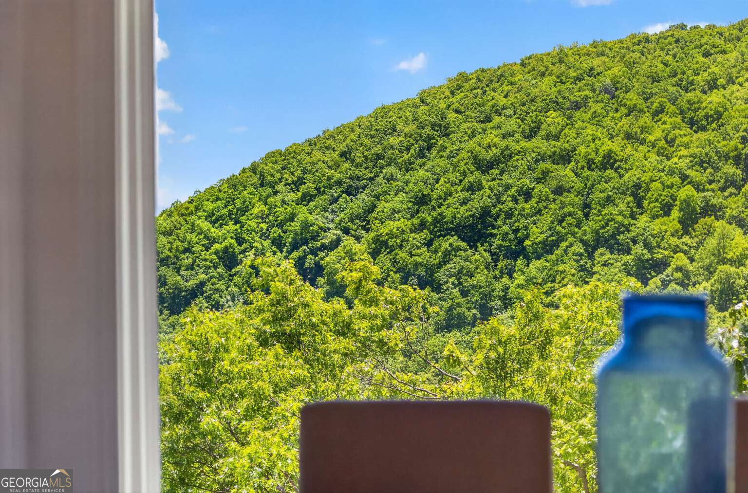 1091 Deer Run Ridge Property Photo 47