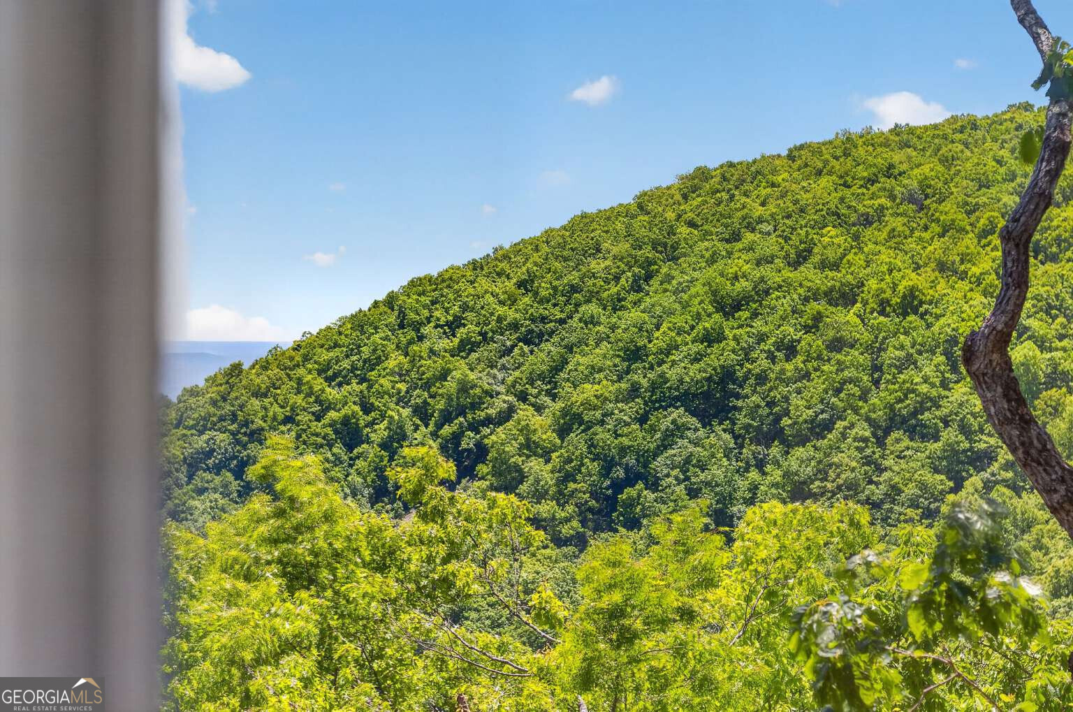 1091 Deer Run Ridge Property Photo 48