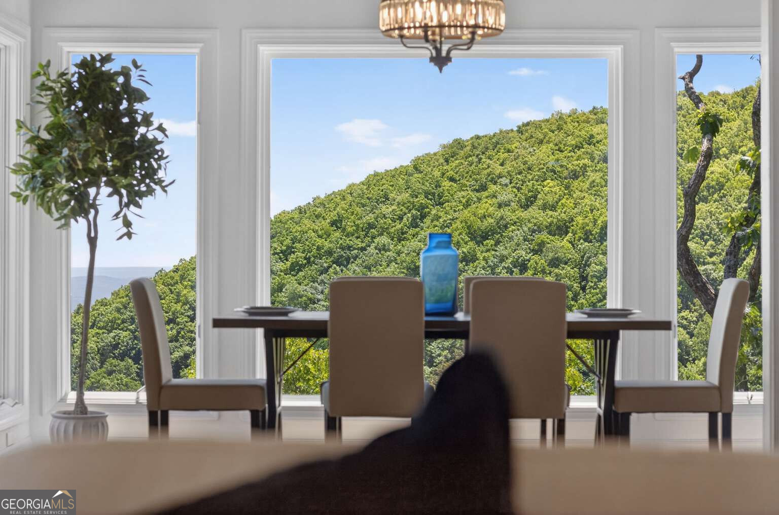 1091 Deer Run Ridge Property Photo 53