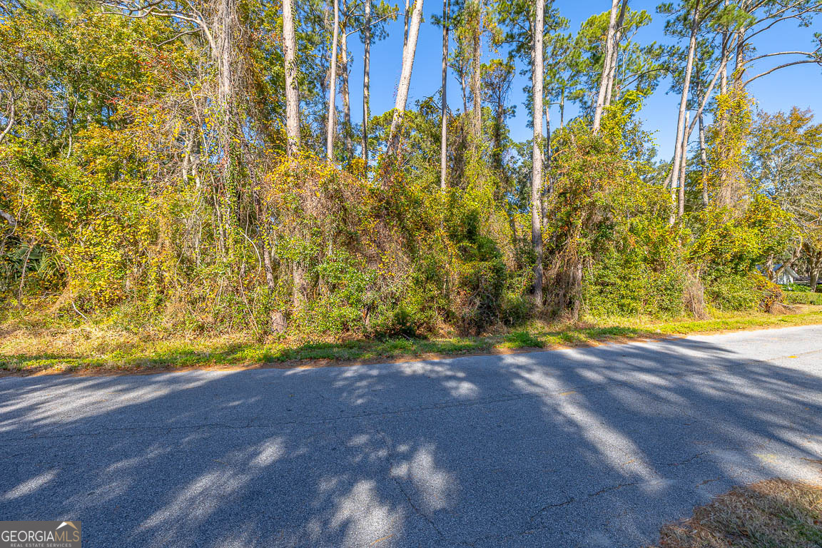 133 Helmich Drive Property Photo 4