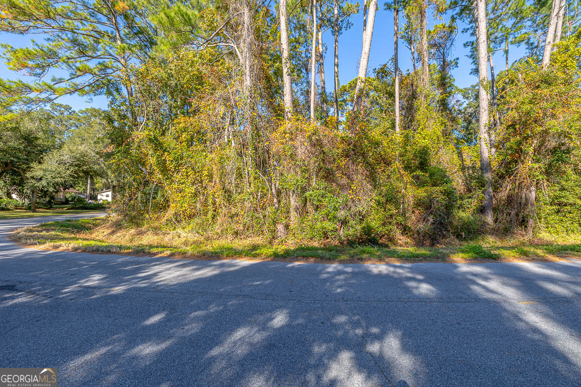 133 Helmich Drive Property Photo 6