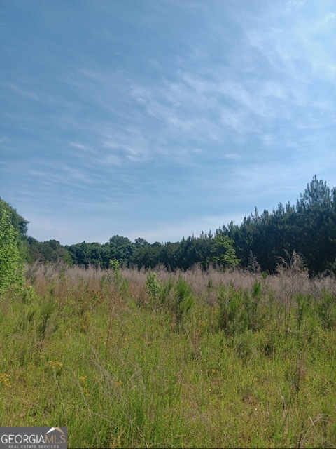 0 Pulliam Mill Road Property Photo 6