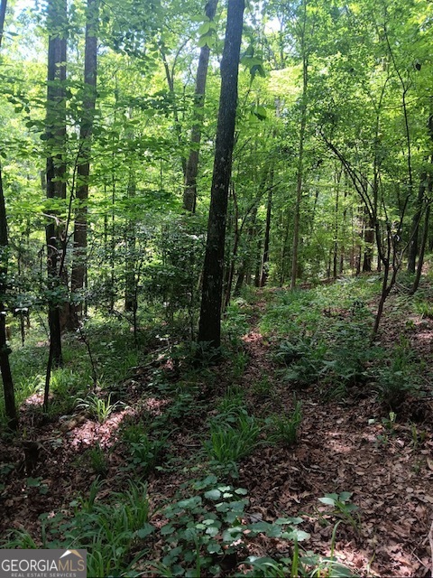 0 Pulliam Mill Road Property Photo 10