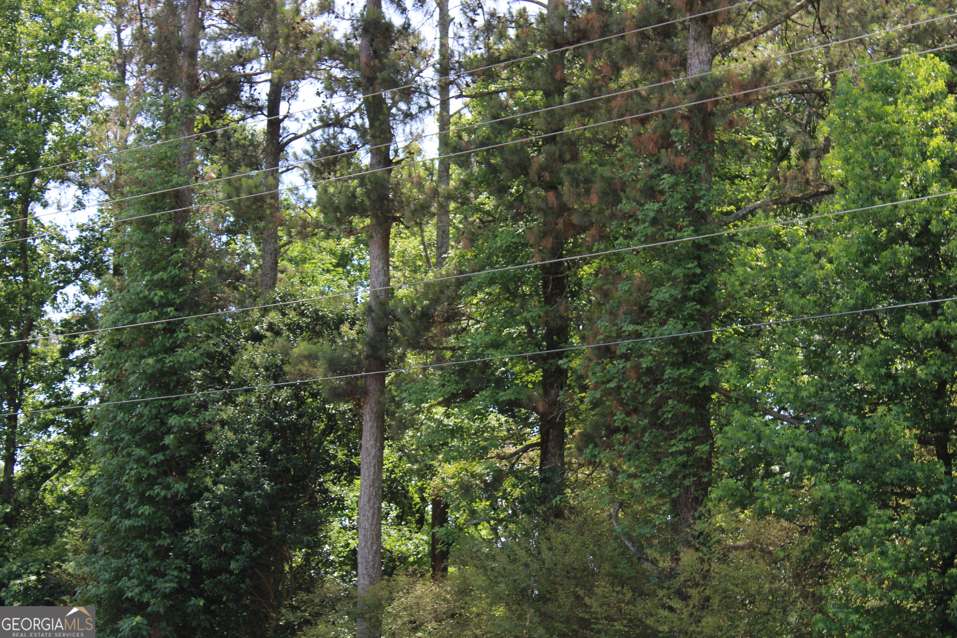 2 Neese Commerce Road Property Photo 2