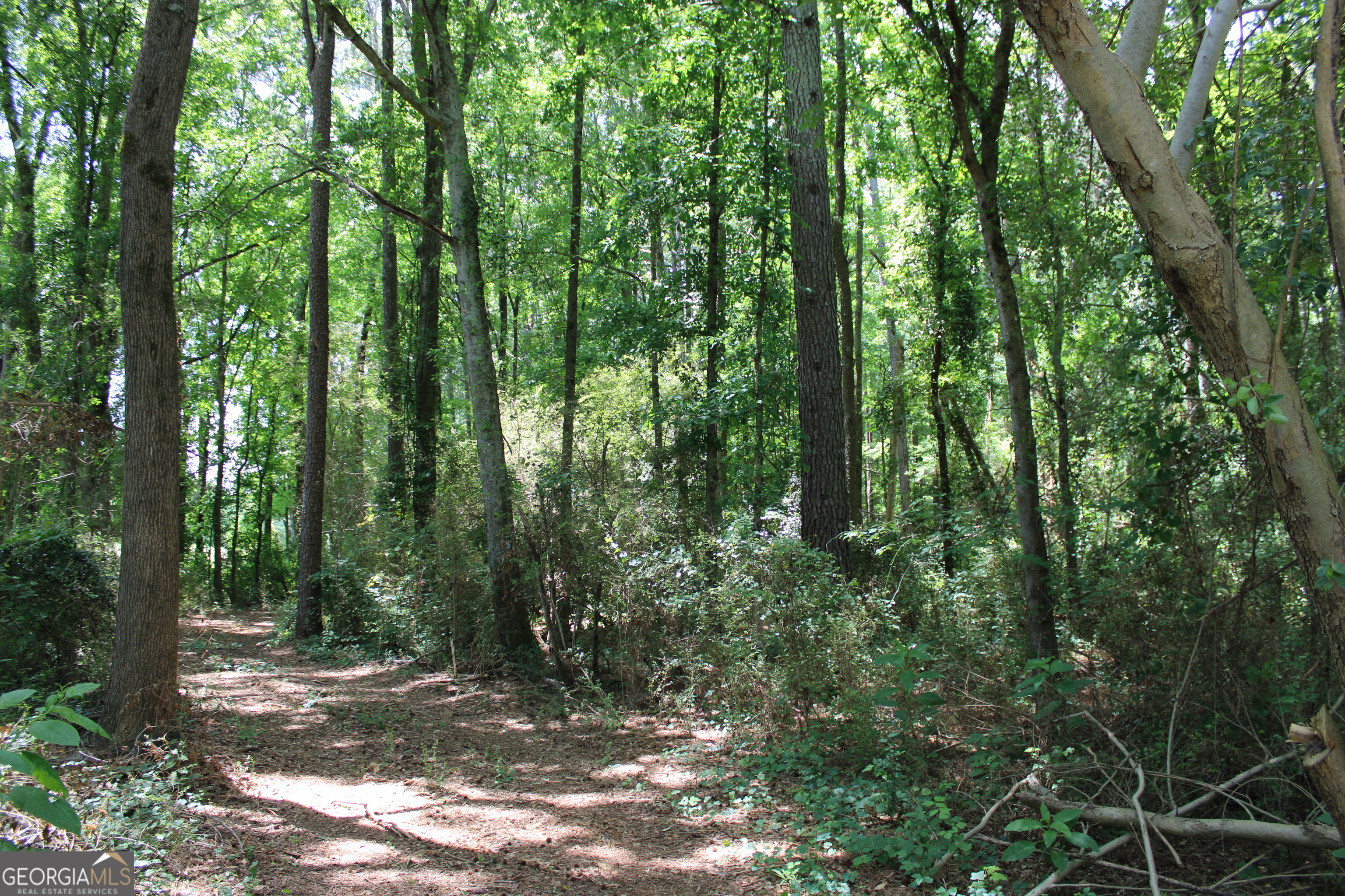 2 Neese Commerce Road Property Photo 4