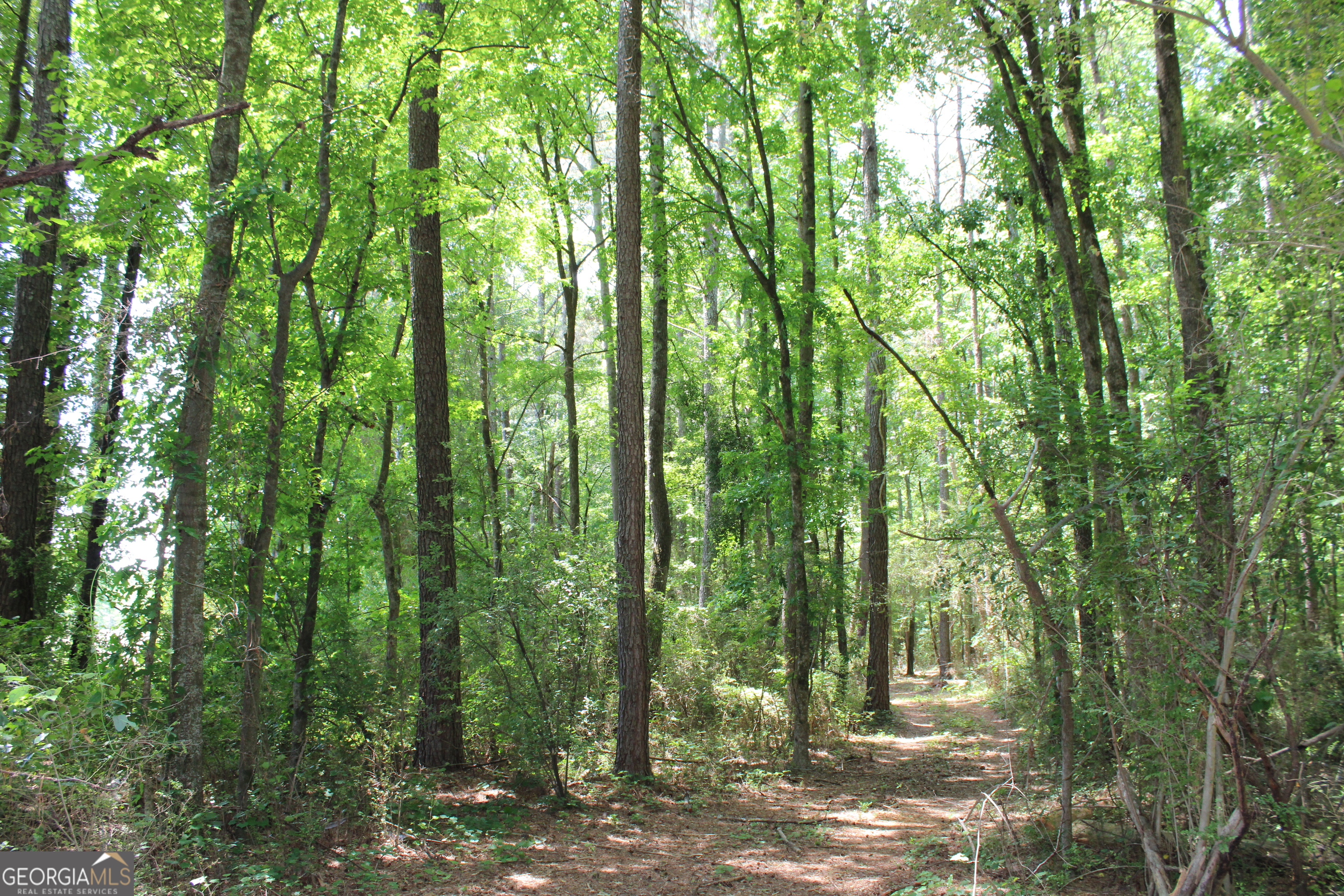 2 Neese Commerce Road Property Photo 5