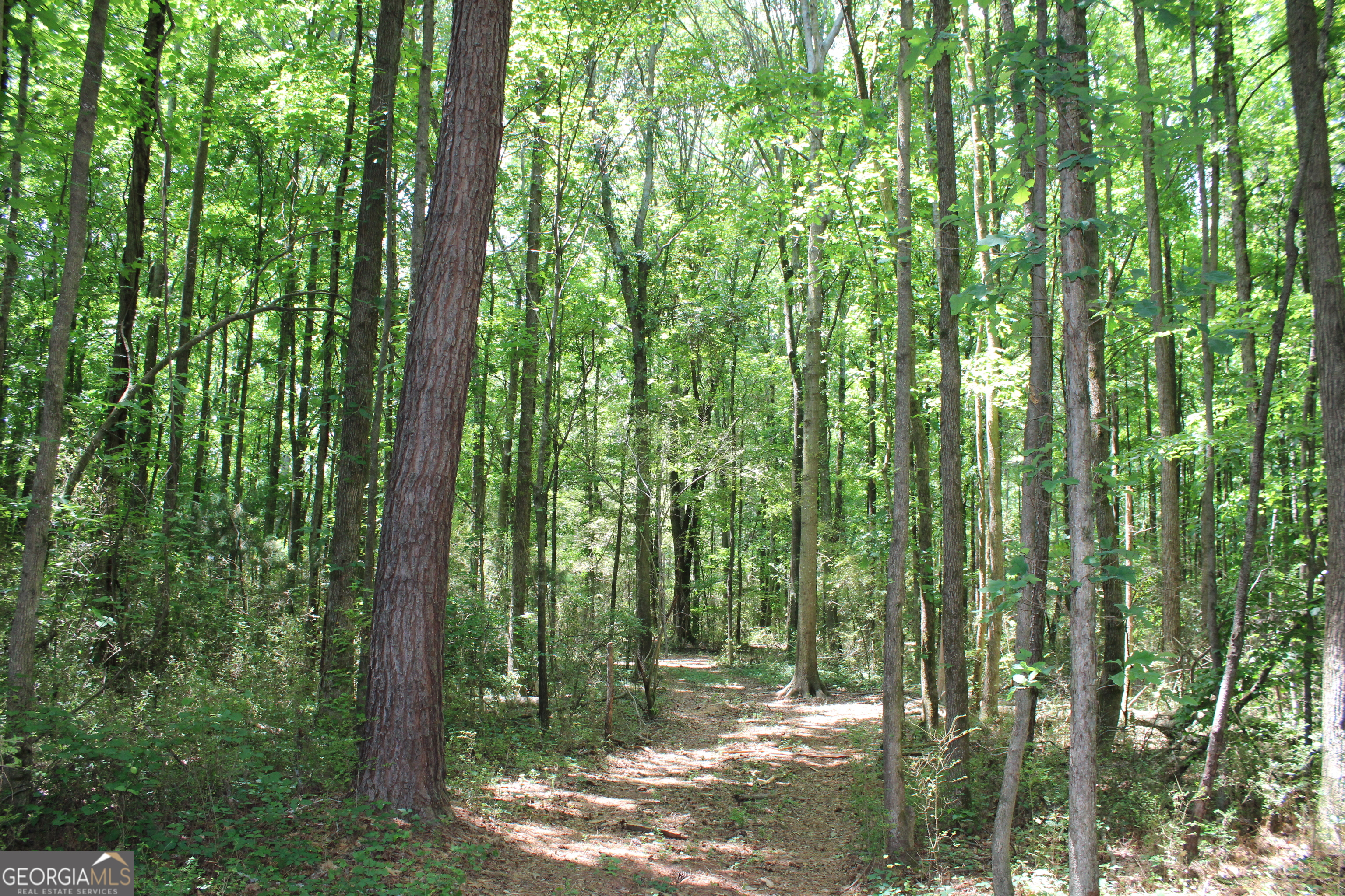 2 Neese Commerce Road Property Photo 6