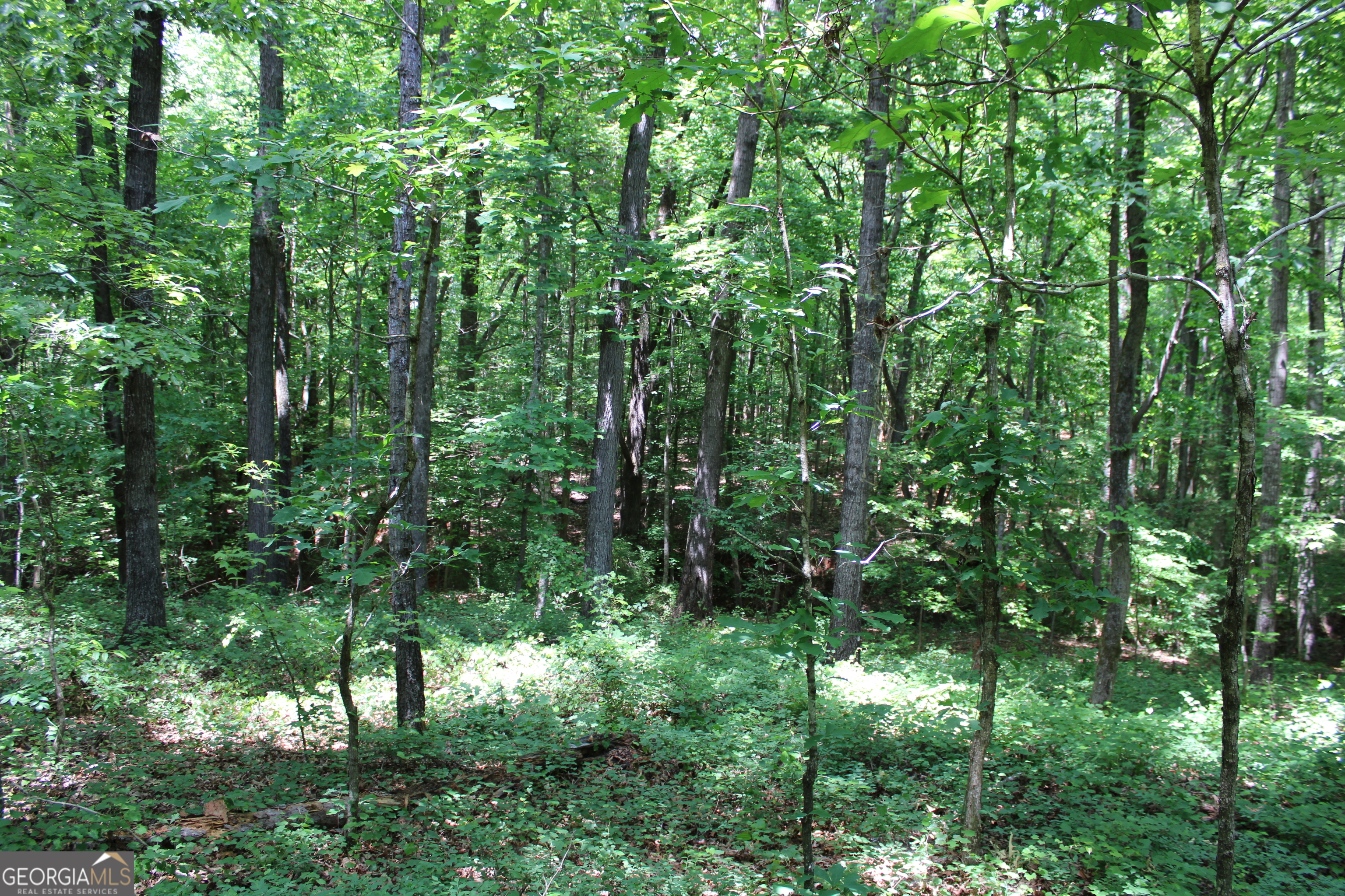 2 Neese Commerce Road Property Photo 8