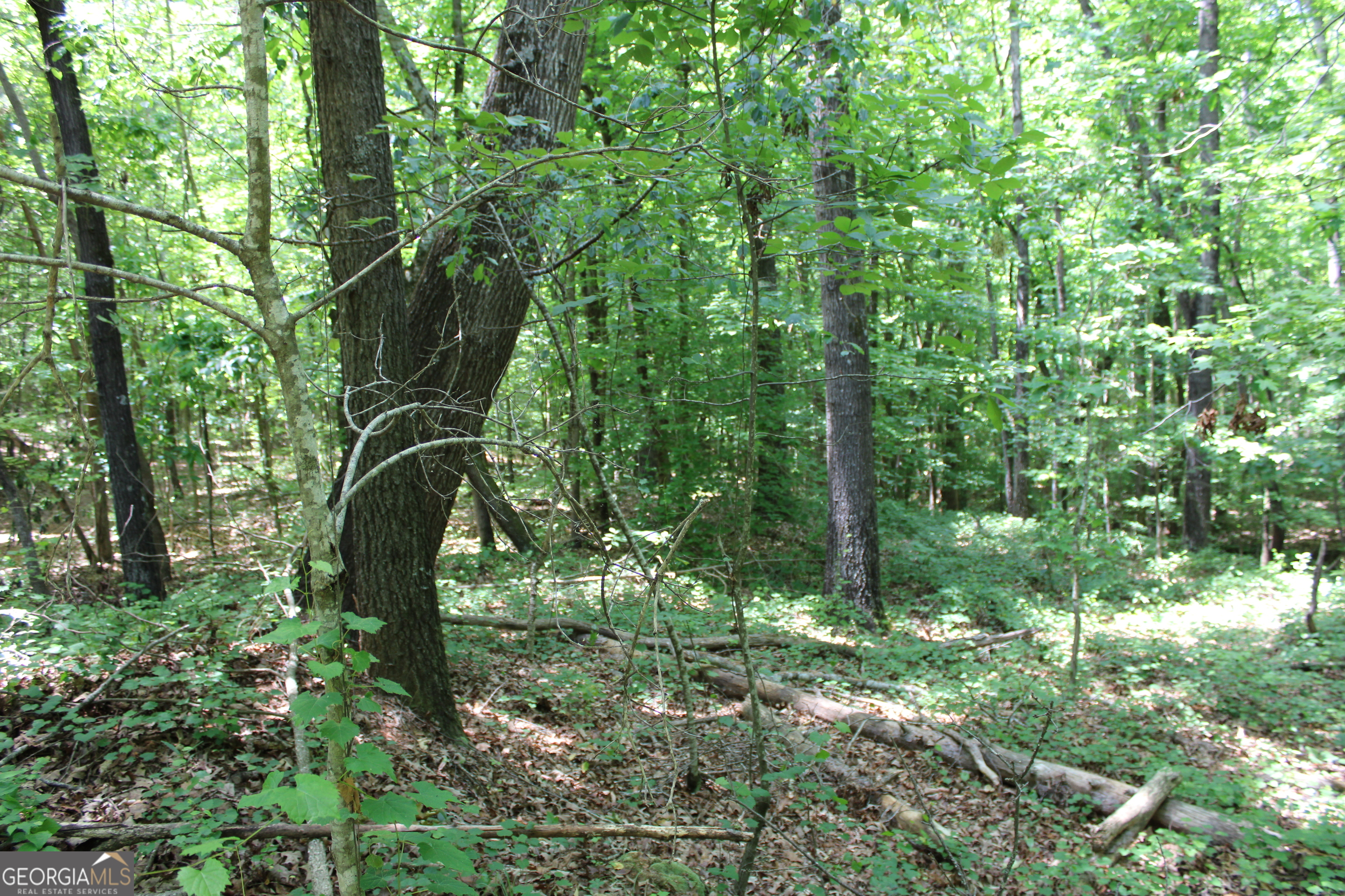 2 Neese Commerce Road Property Photo 9