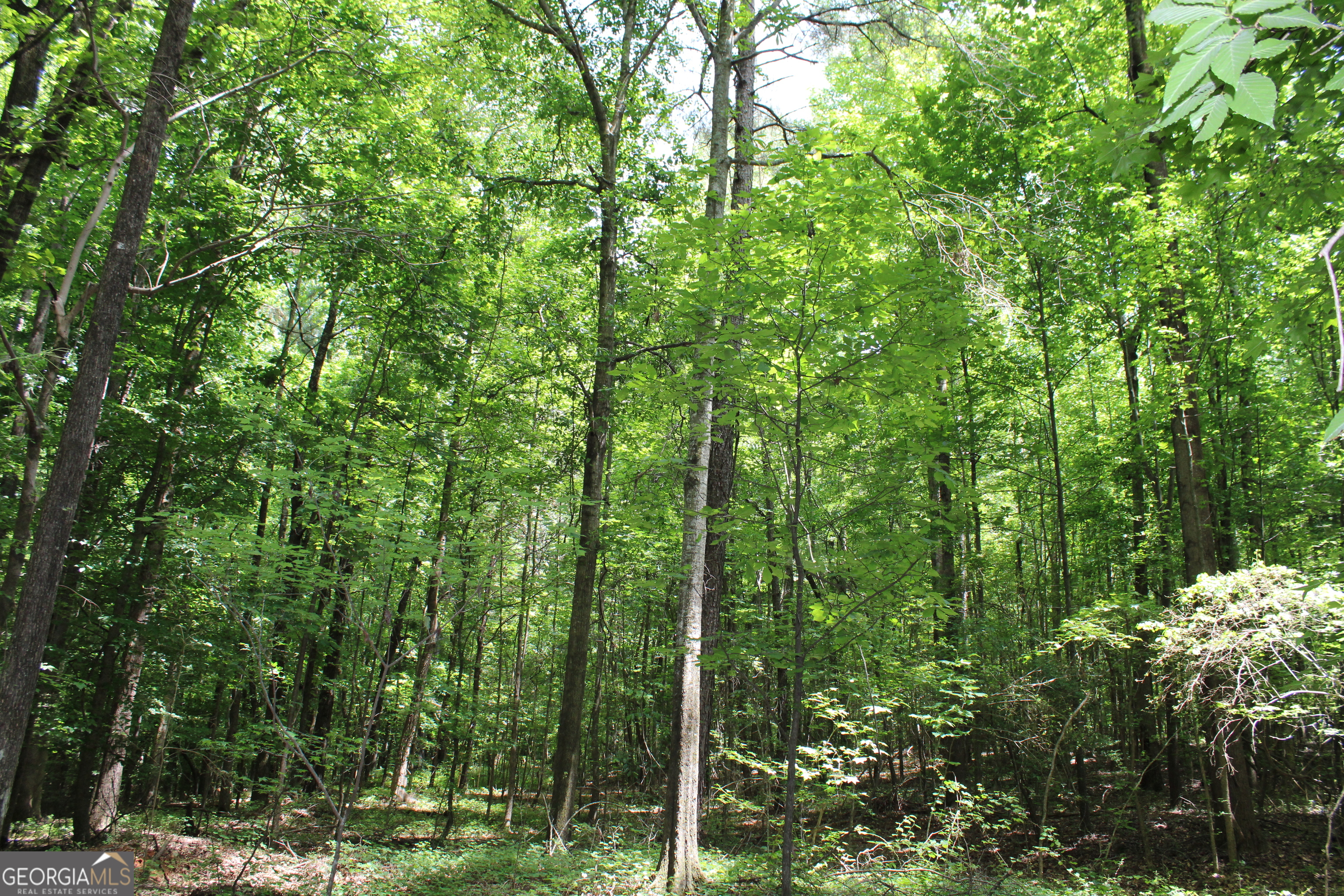2 Neese Commerce Road Property Photo 18