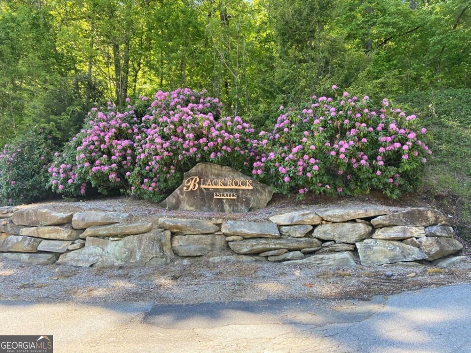 Lot 36 Winding View Property Photo 4