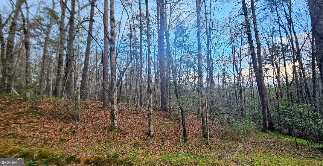 481 Mckay Road Property Photo 2