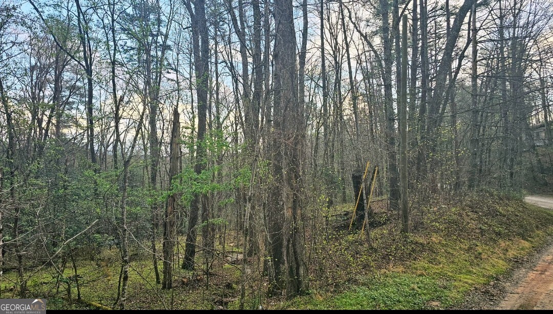 481 Mckay Road Property Photo 3