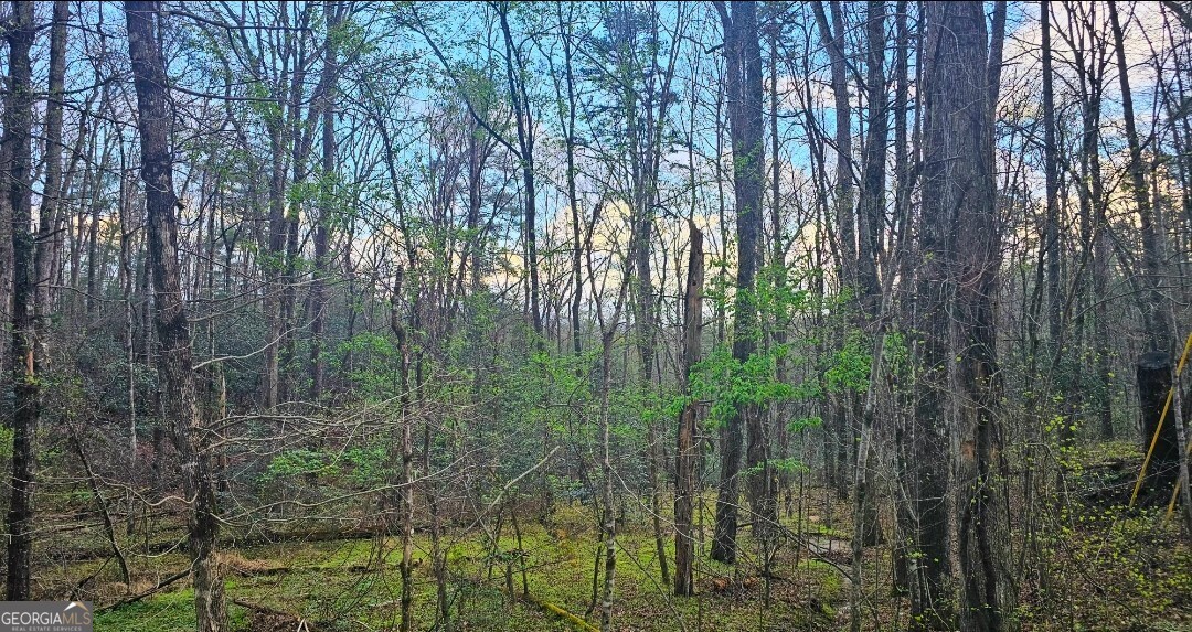 481 Mckay Road Property Photo 4