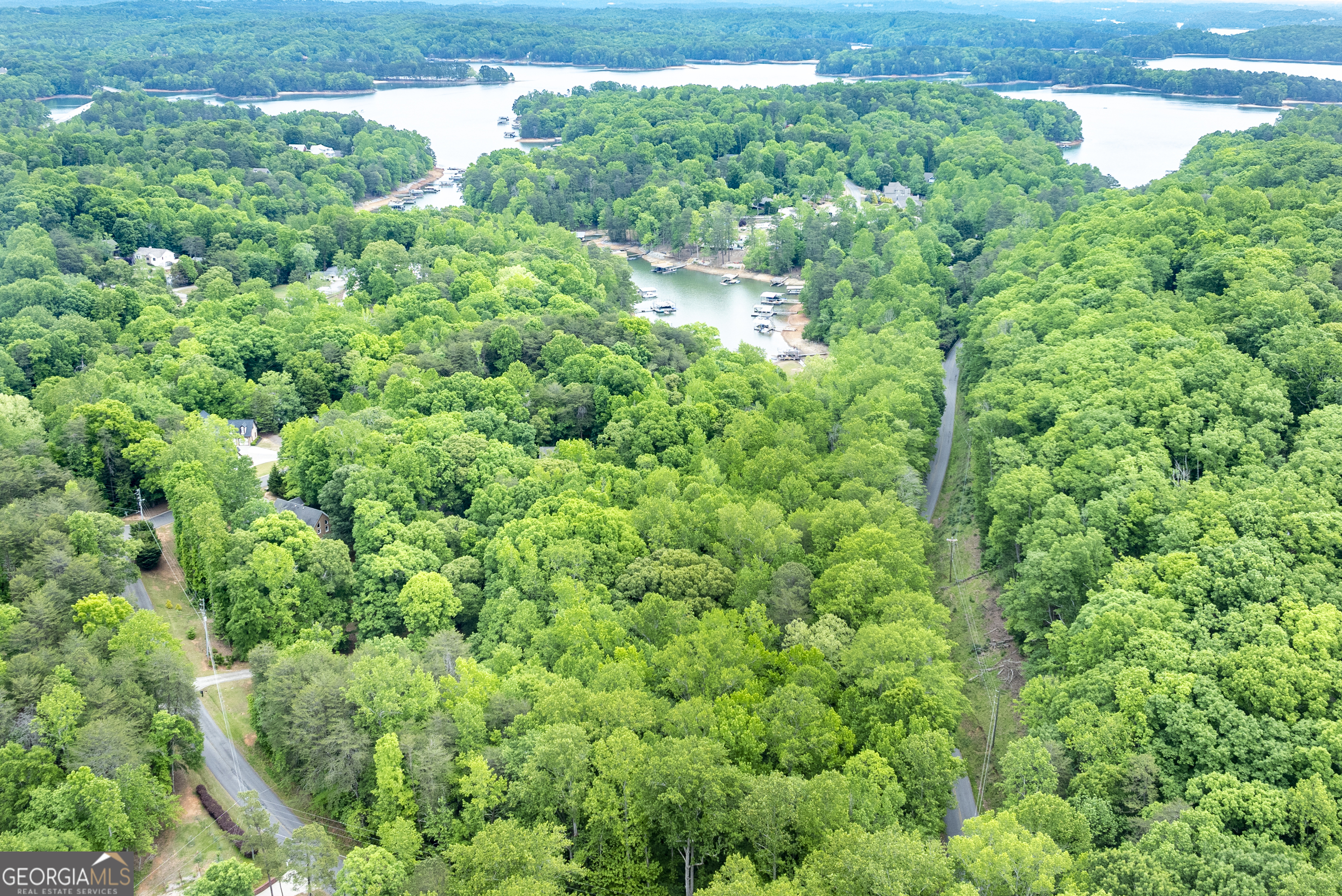 4674 Chestatee Heights Road Property Photo 40