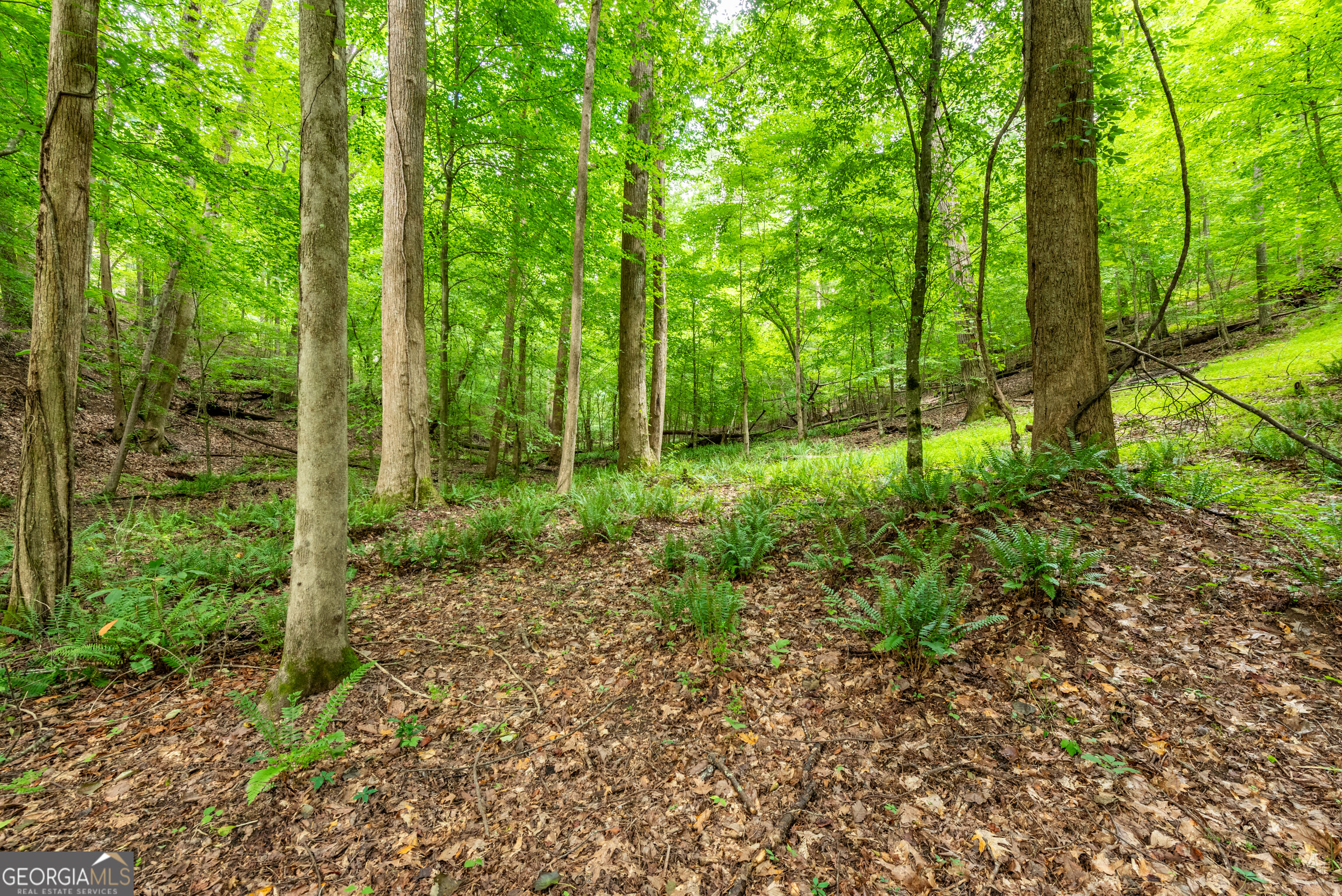 4674 Chestatee Heights Road Property Photo 43