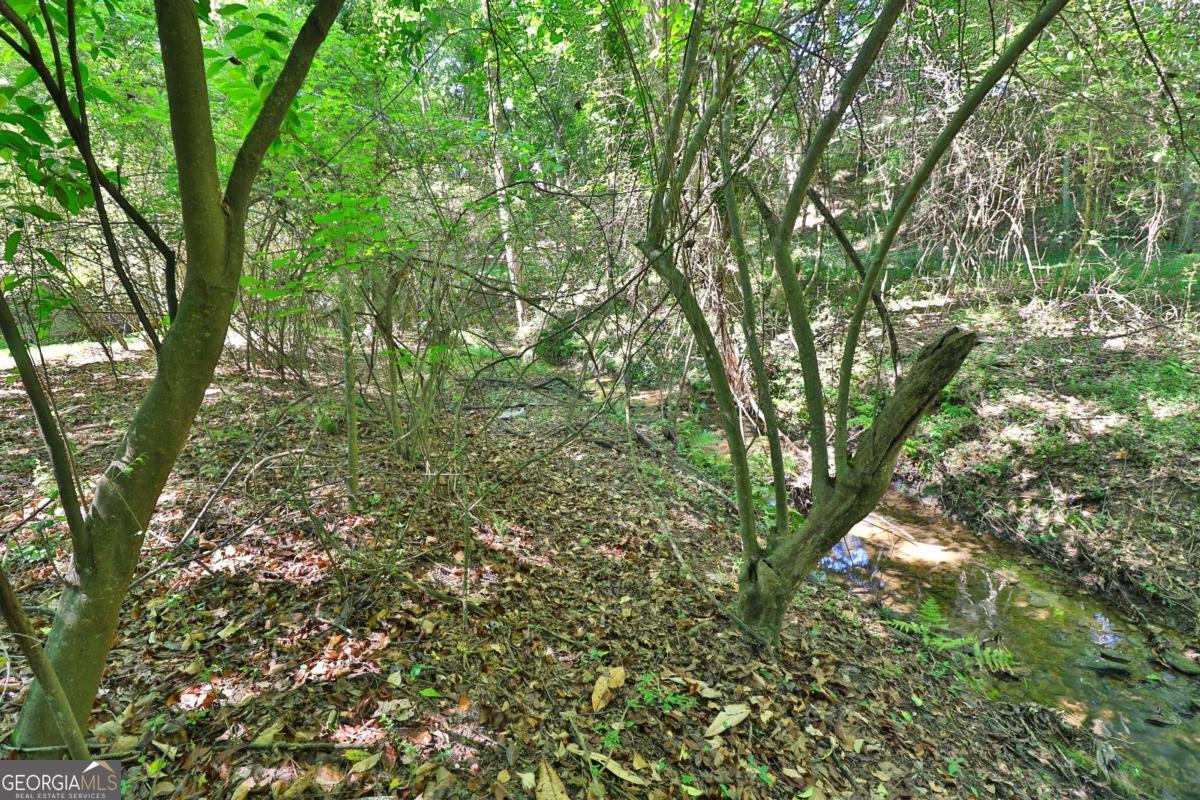 353 Fall View Court Property Photo 60