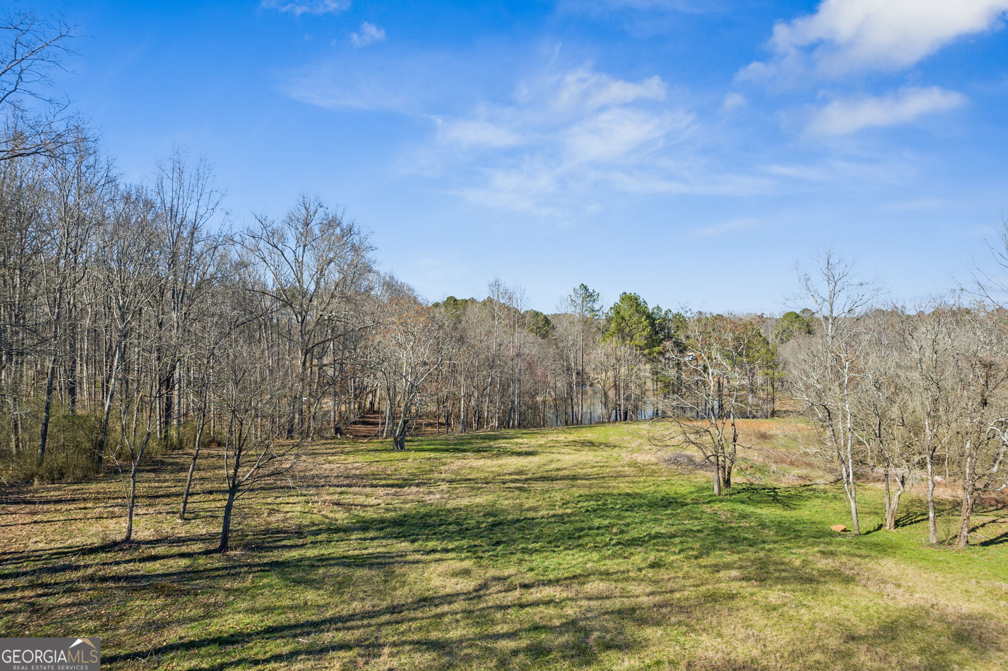 7370 Hickory Flat Highway Property Photo 1