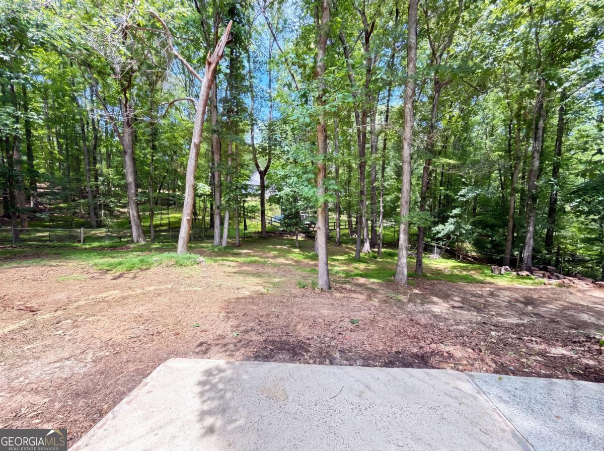 1121 Canvas Back Drive Property Photo 24
