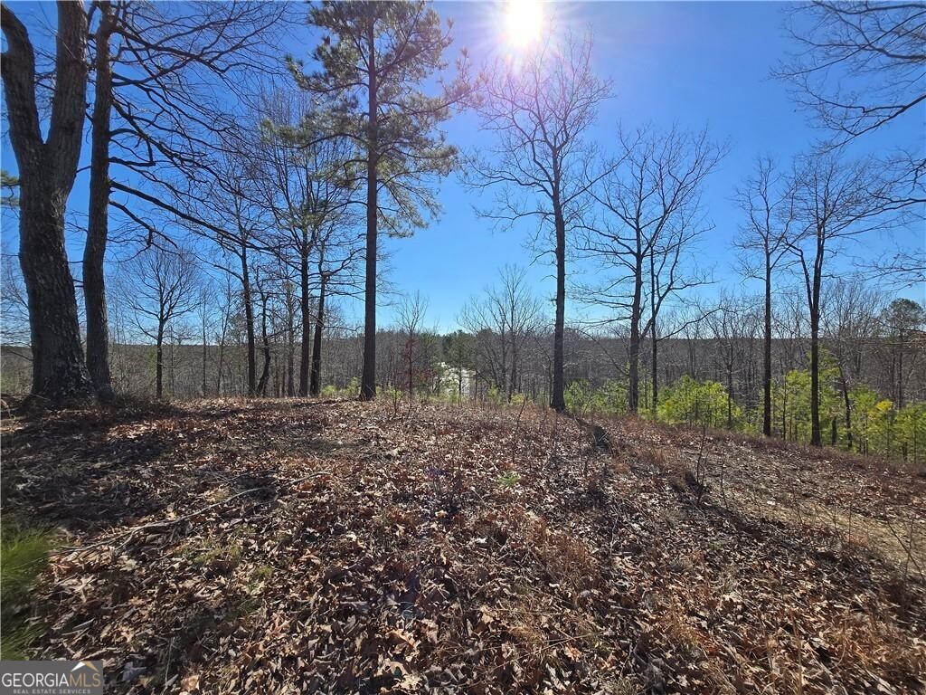 0 Brushy Mountain Road Property Photo 1