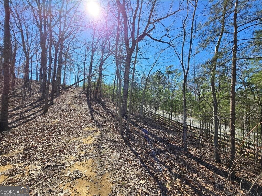 0 Brushy Mountain Road Property Photo 5