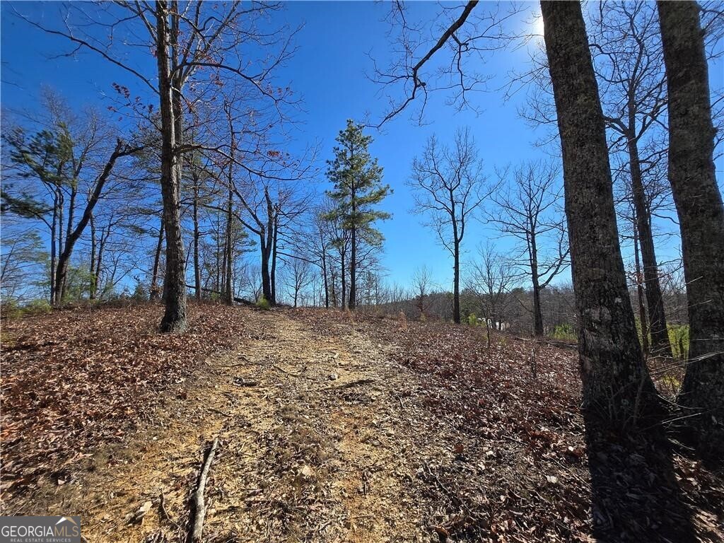 0 Brushy Mountain Road Property Photo 6