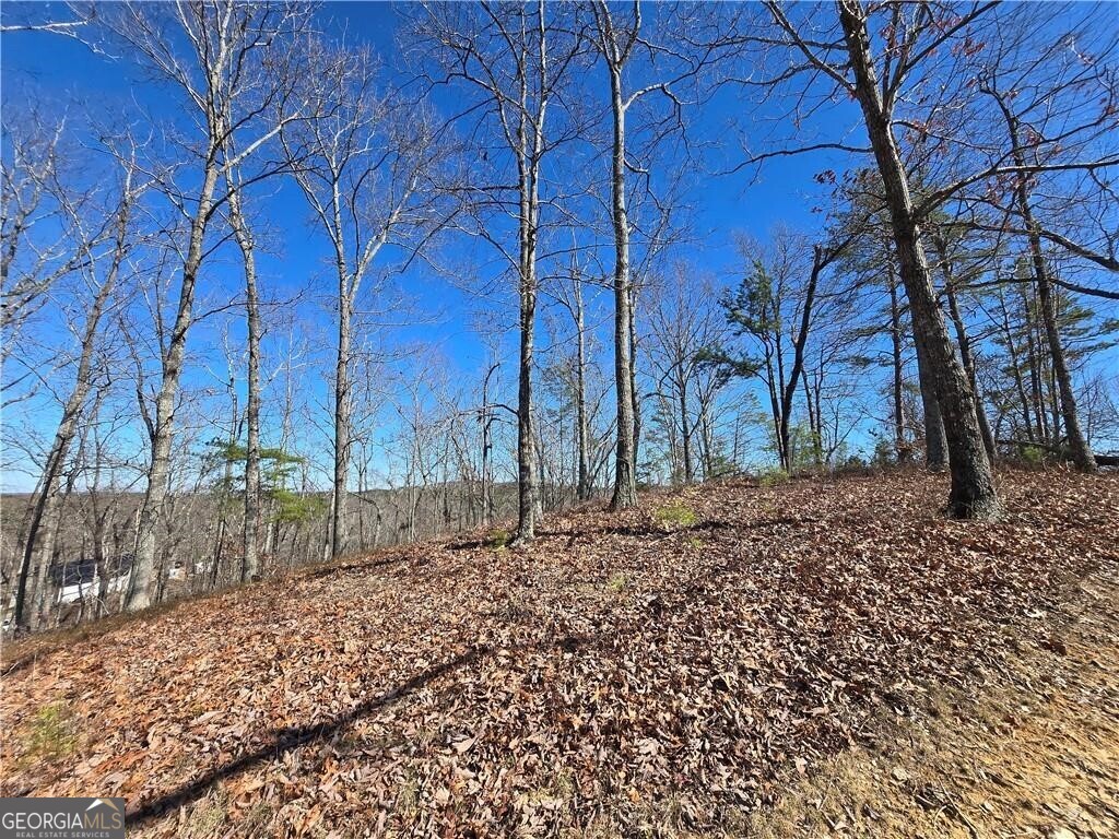 0 Brushy Mountain Road Property Photo 7